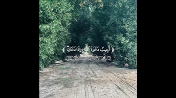 قرآن كريم بصوت القارئ يوسف المرهون