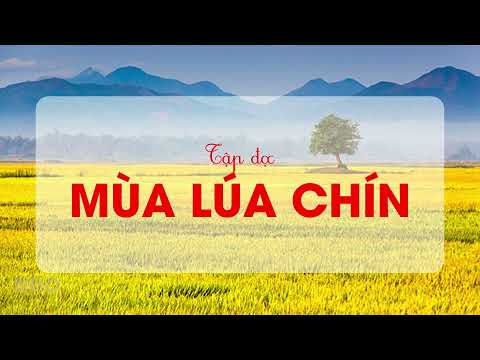 Video Mùa lúa chín (Phần 1) - Tiếng Việt lớp 2 - Bộ Cánh... - YouTube