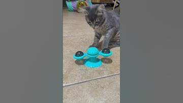 Interactive Cat Toy, Windmill Turntable Teaser, Soft Plastic Rotating #cartoys #toys #catlover