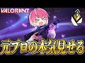 【VALORANT】元プロゲーマーだし本気でヴァロするわ【すとぷり】【騎士X】【アンプタック】【めておら】【すにすて】