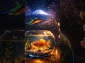 Komorebi — Dappled Sunlight | Relaxing Ambient Journey