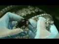 $100 mln Russian diamond crown. How royal jewelry was made. Бриллиантовая корона Алмазный фонд