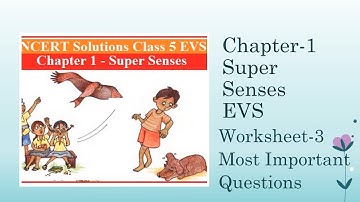 Super Senses chapter-1 | worksheet-3 Most important question | class-5 | extra questions | exam type