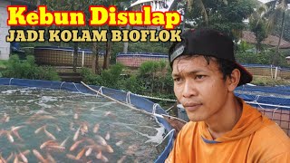 Belajar Bioflok Lagi Kang Ajat Panen Ikan Nila Merah 3 Ton Tiap Bulan Terus Menambah Jumlah Kolam