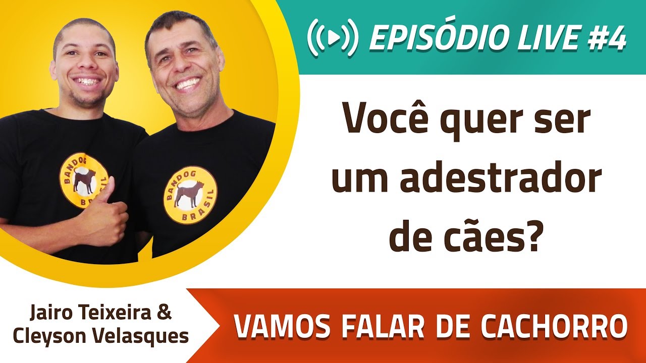 VAMOS FALAR DE CACHORRO #4 – Você quer ser um adestrador de cães?