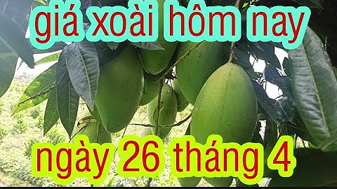 giá xoài hôm nay ngày 26/4