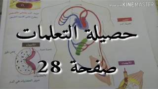 حصيلة التعلمات ص28 السنة الرابعة متوسط علوم