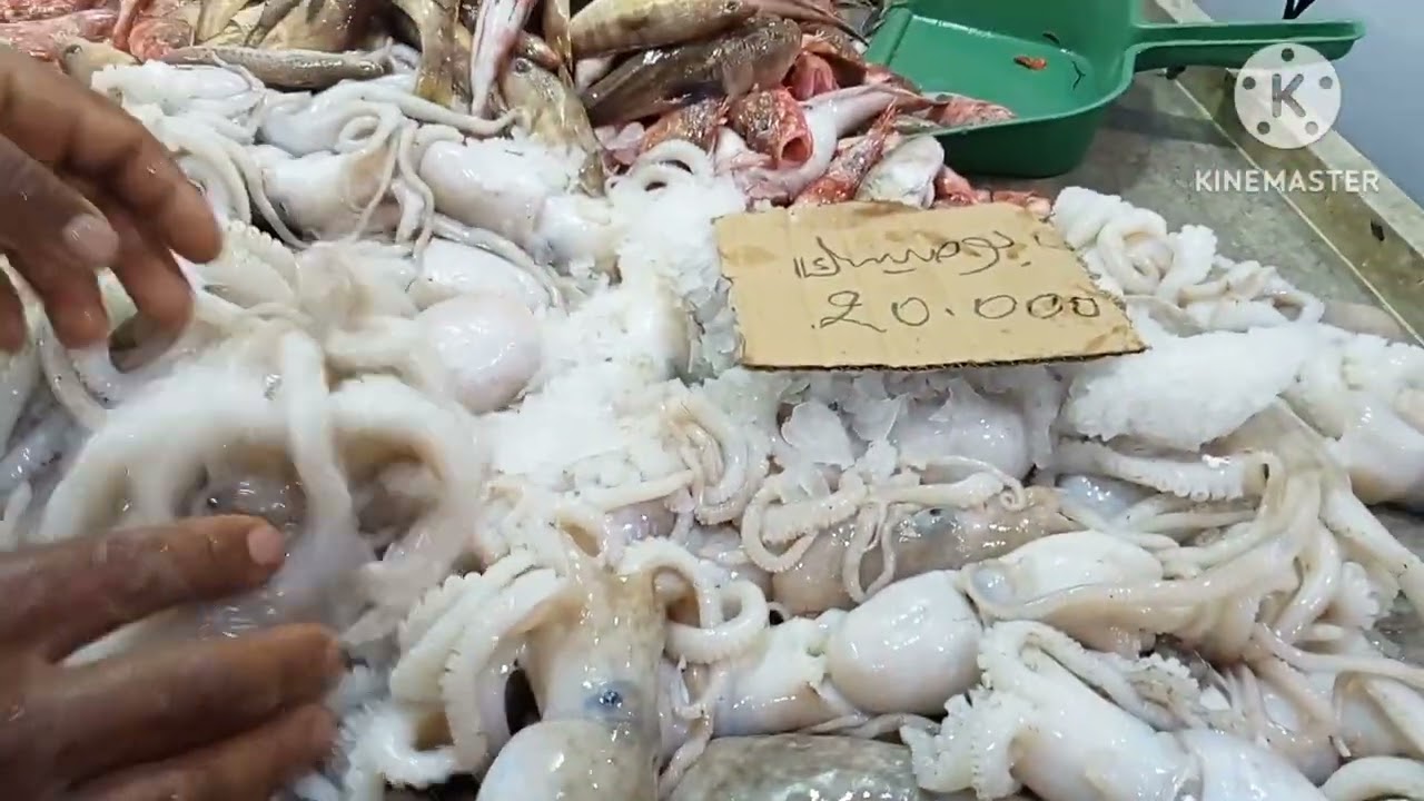 دار الحوت حي النور قفصة 🐠🦑🐙🐟