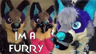 Should You Be Open About Being Furry?  Furry Amino