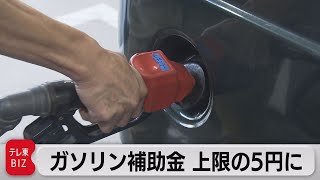 ガソリン補助金 上限の５円に 原油高騰で10日から（2022年2月4日）