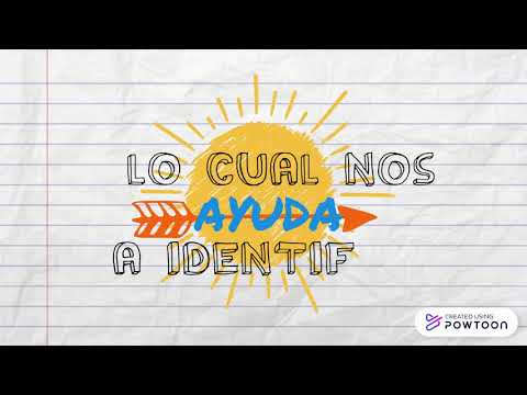 En qué consiste un Estudio Técnico ¿Qué es un estudio técnico? Descubre su importancia