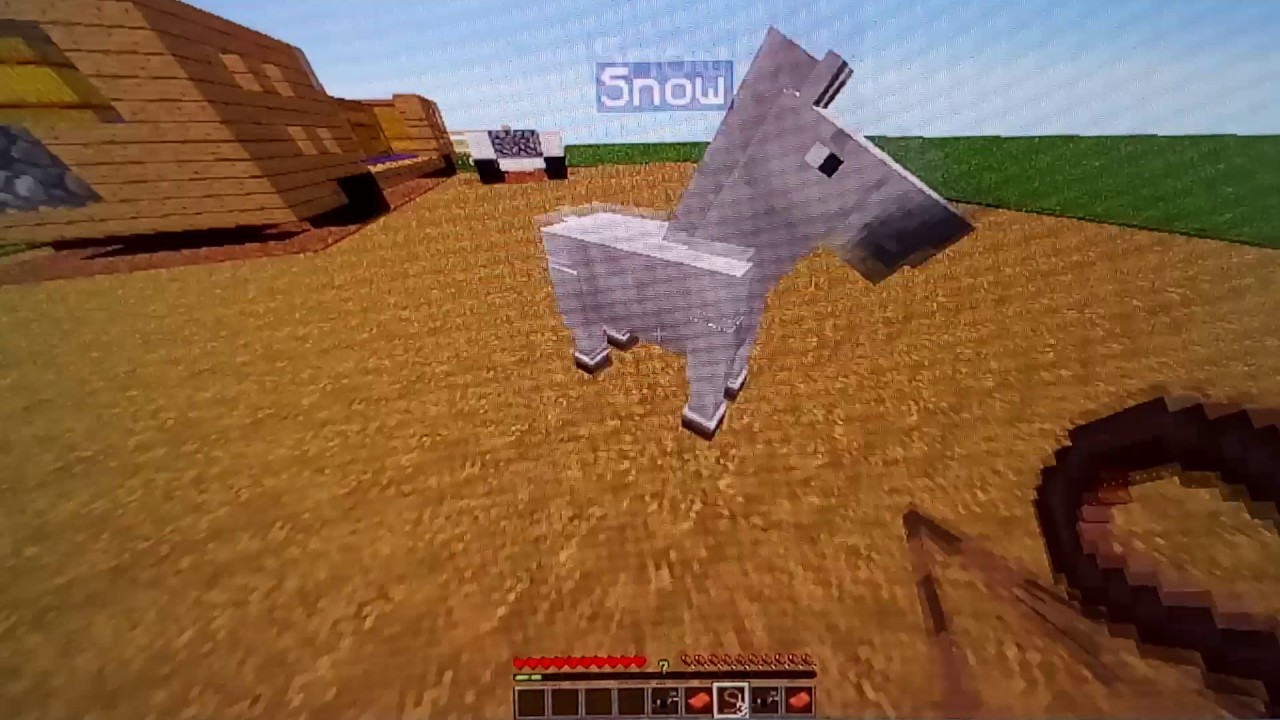 Nouveaux poneys et Shetlands ! - Minecraft