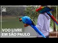 Voo Livre em São Paulo