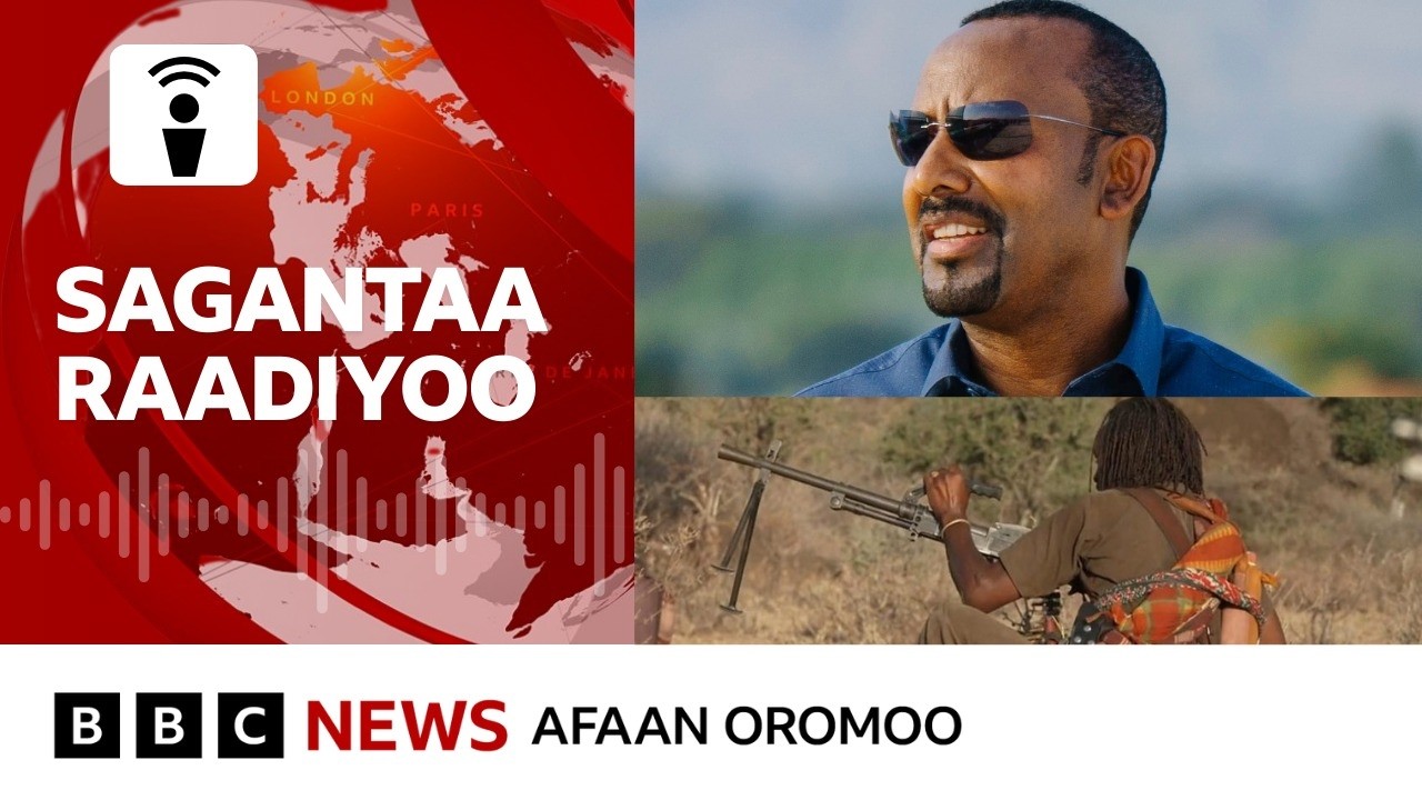 Waamicha araaraa MM Abiy dhiyeessan hidhattoonni WBO maal jedhu? | BBC News Afaan Oromoo