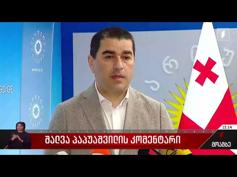 შალვა პაპუაშვილის კომენტარი