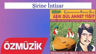 Şirine İntizar - Gül Ahmet Yiğit Resimi