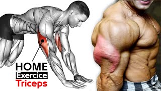 تمارين الترايسبس بدون معدات وفي المنزل كمال الاجسام | Triceps Exercises at Home