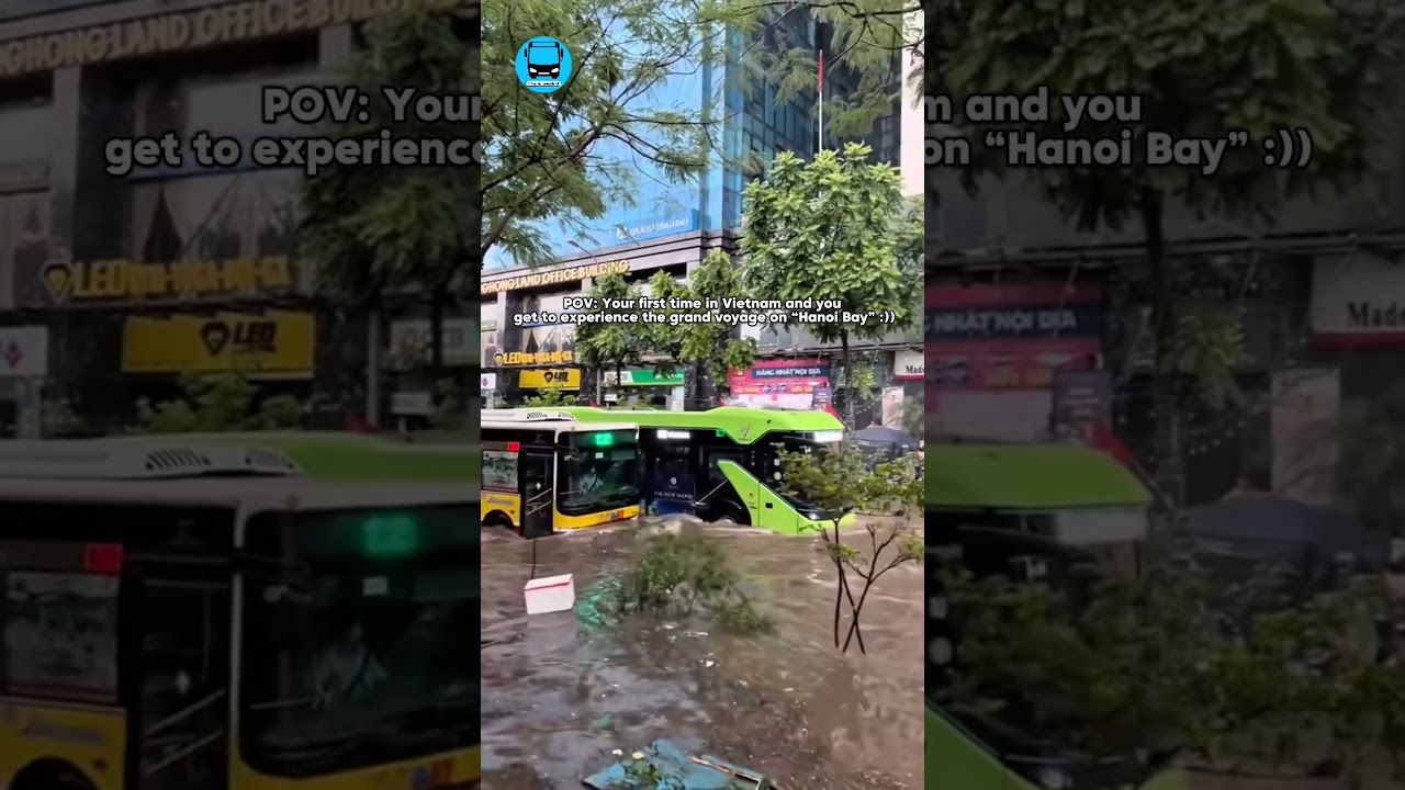 Опыт, которого вы еще не видели во Вьетнаме 😎