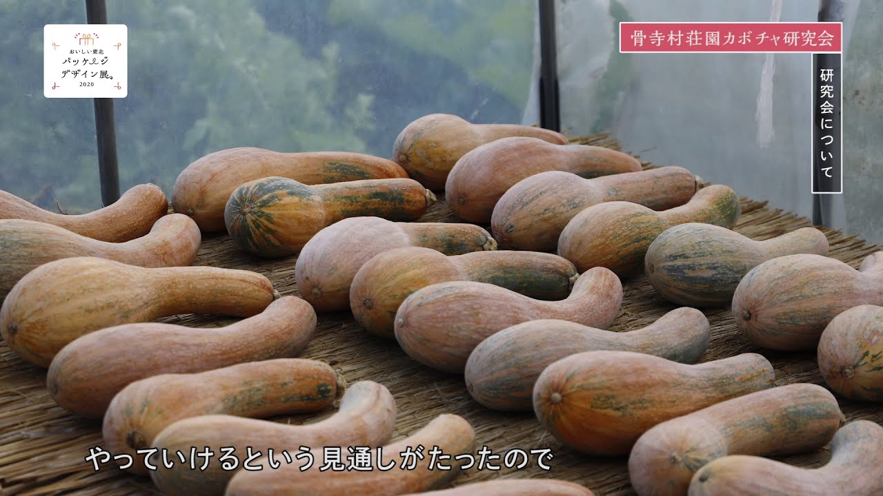 pump pumpkin   kin＝金　南部一郎かぼちゃ（平泉産）