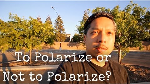 Circular Polarizing Filter: does it help or hinder [older camera]?  |  Got Flare?