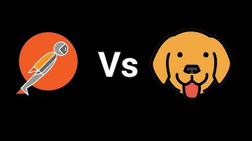 Postman vs Bruno REST API Client