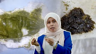 Maksud Warna Tahi Bayi