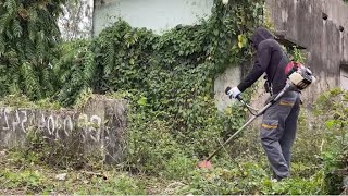 Beautifully transform an abandoned house  Clean up the overgrown garden area