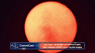 Sun Today — 08/22/2026 | Lunt LS50THa H-alpha Solar Telescope | SVBONY Camera | My Solar Imaging