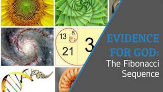 Evidence for God  The Fibonacci Sequence