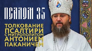 Толкование Псалтири. Псалом 35.