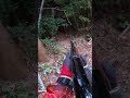 心臓を一撃で撃ち抜いたイノシシの末路