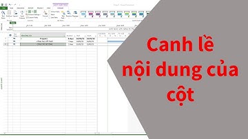 MS Project cơ bản: Canh lề tiêu đề và nội dung của cột bất kỳ MS Project