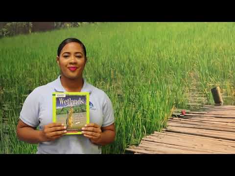 PBCLS Reads: PBC Water Utilities (Part 1)