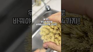 미세 플라스틱 걱정 없는 천연 소재 우드 브러쉬로 설거지 해야 하는 이유 4가지! #설거지