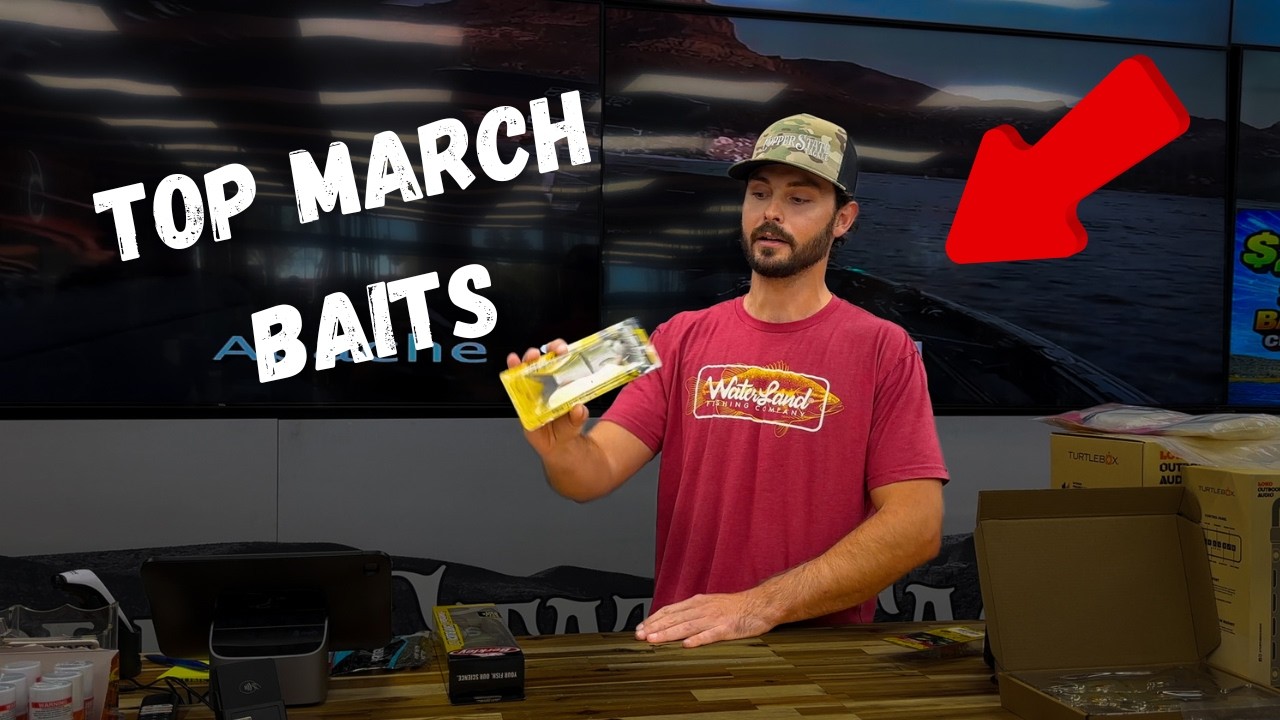 Top 5 March Baits for Bass Fishing!