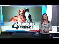 Four Legged Friends: Pickle Rick