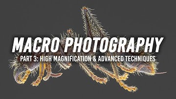 Macro Photography | Part 3: High Magnification and Advanced Techniques