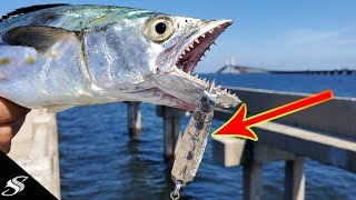 Rigging a Trolling Spoon for Pier Fishing  Crazy Results!