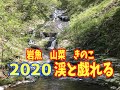 2020　渓と戯れる【前編】渓流釣りイワナ　山菜　きのこ