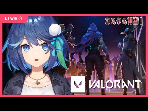 【VALORANT】  カスタム練習！【風見鶏かな】