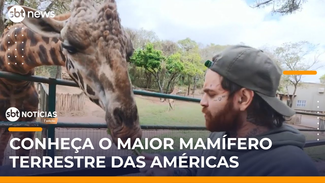 Expedição Animal visita Zooparque de Itatiba e mostra maior mamífero das Américas | 