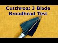 Rms gear cutthroat 3 blade broadhead test