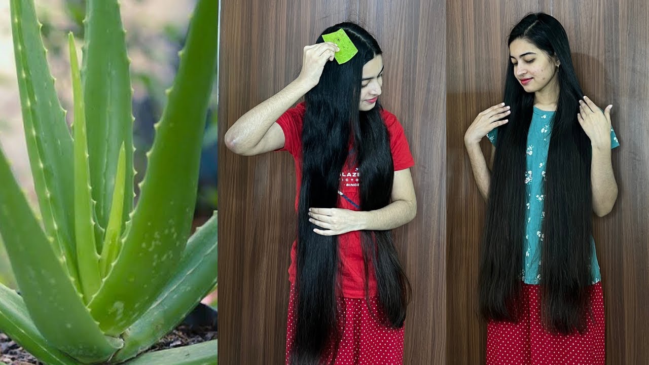 How To Use Aloevera Plant For Hair | My Secret Hair Grwoth Tips That Will Boost Hair Growth