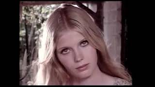 1970 Sunsilk Shampoo by traci0dee 13,776 views 5 years ago 31 seconds