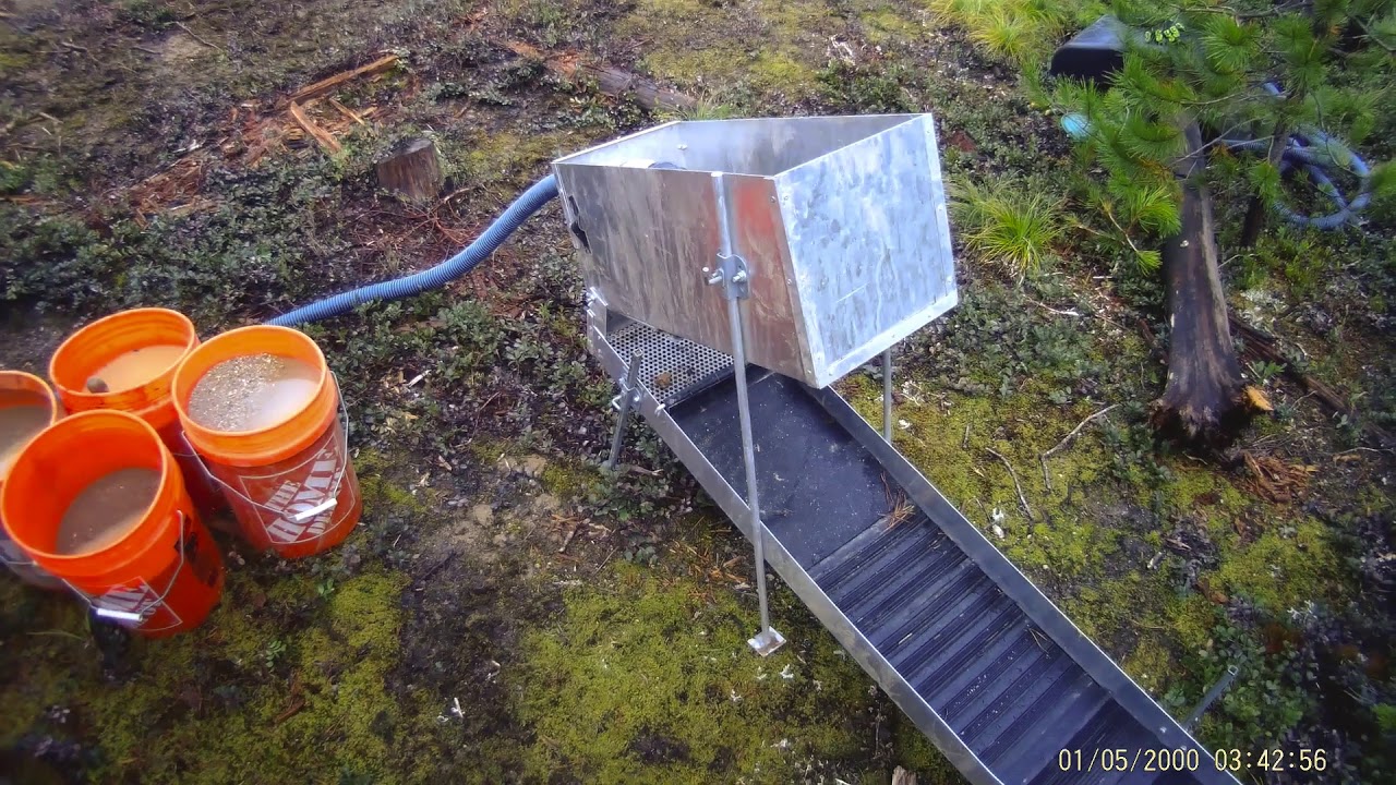 Yowza! Getting Some Gold!