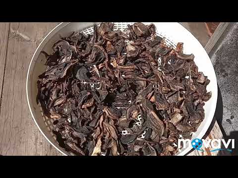 Как сушить и хранить грибы.