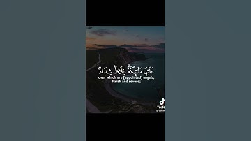 القارئ ياسر الدوسري - يا أيها الذين آمنوا قوا أنفسكم وأهليكم نارا