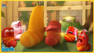 LARVA FULL EPISODE | CARTOON COMEDY VIDEO FOR LIFE | CARTOON MOVIE NEW VERSION