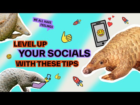 Pangolins And Their Influencer Dilemmas | Animals in Therapy | Studio BlueGreen