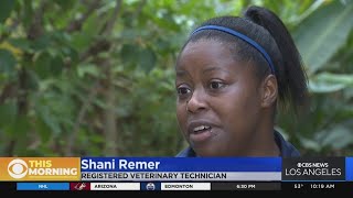 Shani Remer is a registered veterinary technician at Santa Ana Zoo screenshot 2